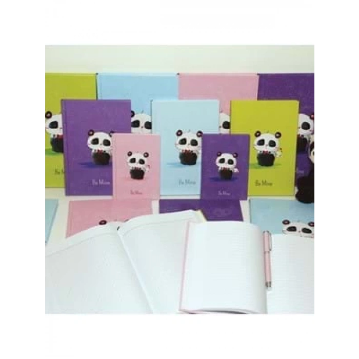 3E Grup - Bayındır Panda 17x24 Cm Sert Kapak Defter Çizgili 144 Yp Bad0484