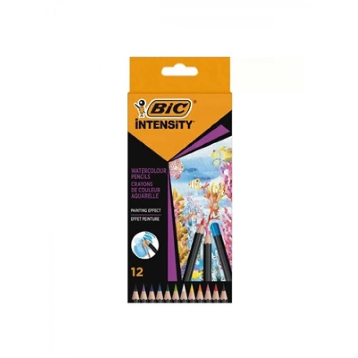 3E Grup - Bic İntensity Aquarelle Kuru-suluboya Kalemi 12 Li 511726