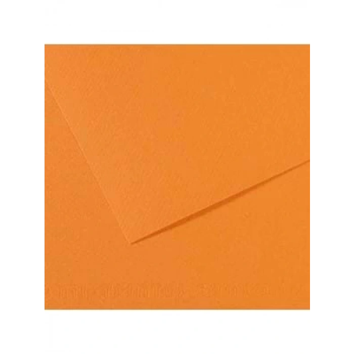 3E Grup - Canson Fon Kart.50x65 160 Gr 384