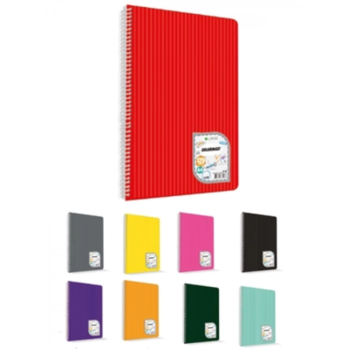 3E Grup - Çınar Colormaxi A5 Spiralli Pp Kapak Defter Kareli 96 Yp 73505