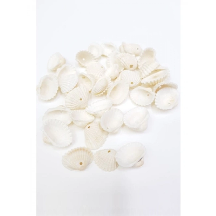 3E Grup - Elif Deniz Kabuğu