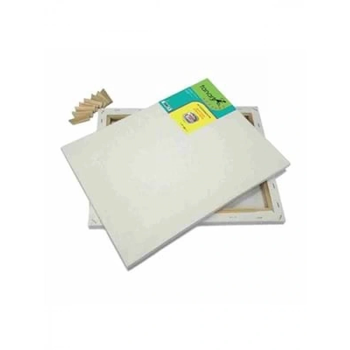 3E Grup - Fanart 35x50 Cm Genç Seri Çerçeveli Tuval 8011