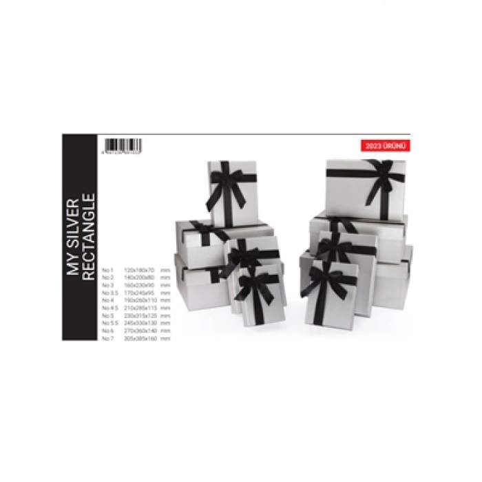 3E Grup - Gıpta My Silver Dikdörtgen Hediye Kutusu No:4.5 Bx1033