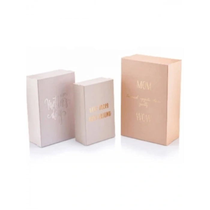 3E Grup - Gıpta Rosy Dikdörtgen Hediye Kutusu No:2 20610