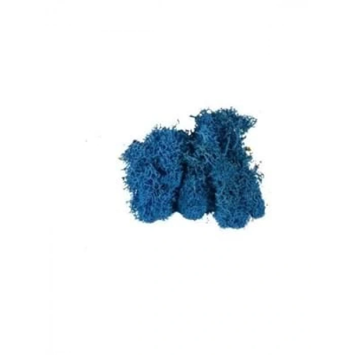 3E Grup - Jordania 10 Gr Yosun Lacivert 0506003