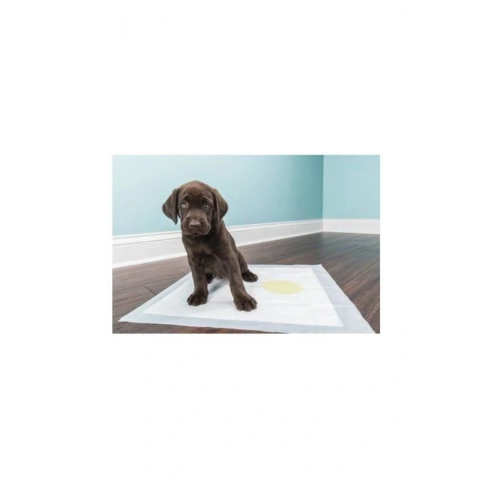 3E Grup - Köpek Tuvalet Çiş Eğitim Pedi 60x90 cm ( 10 Adet )