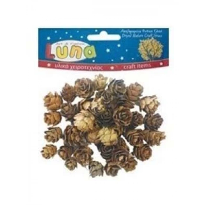 3E Grup - Luna 20 Gr Doğal Çam Kozalakları Lna0620172