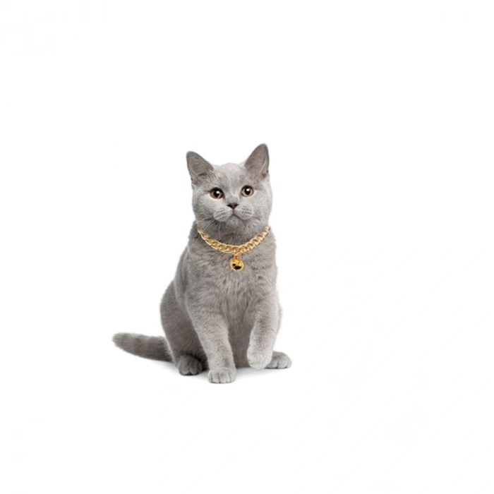 3E Grup - Markapet Kedi Ve Köpek Lüx Zincir Kolye 25-30 cm Medium Gold