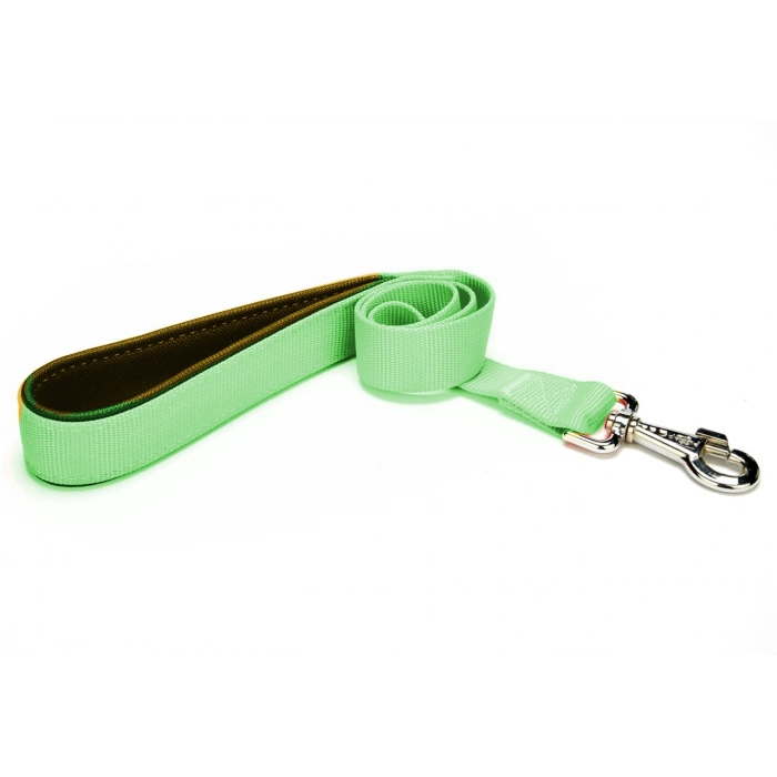 3E Grup - Markapet Köpek Gezdirme Kayışı 2 cm x 115 cm Yeşil