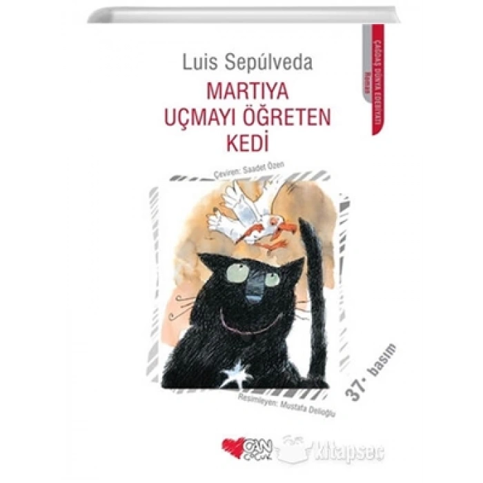 3E Grup - Martıya Uçmayı Öğreten Kedi - Can Sanat Yayınları