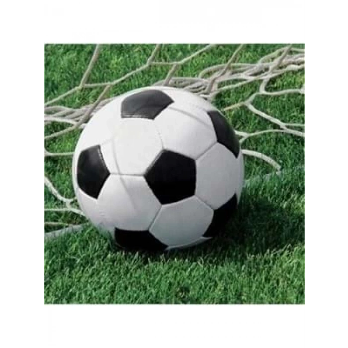 3E Grup - Nedi Peçete 16 Lı Futbol Topu 667966