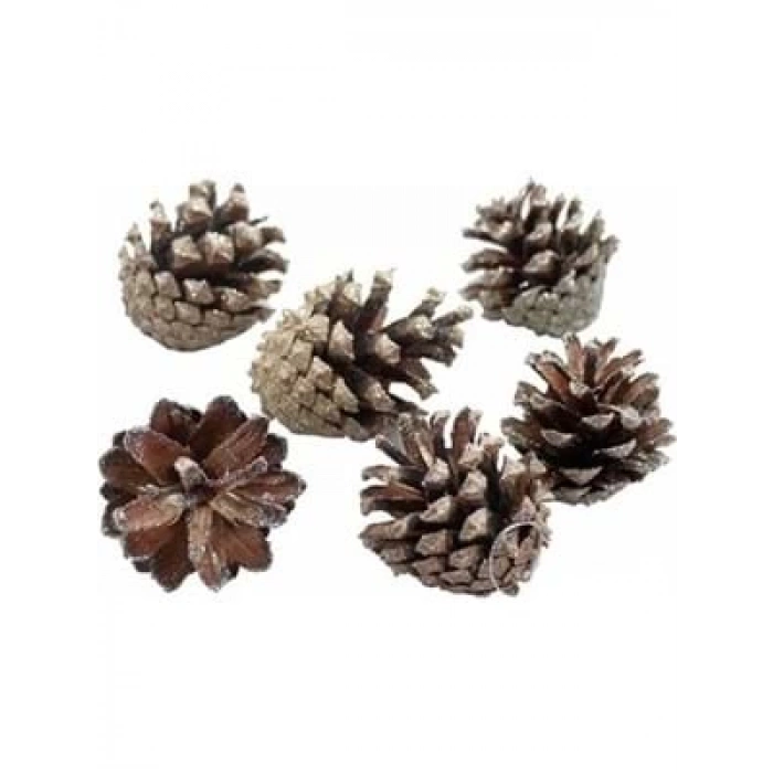 3E Grup - Nedi Yılbaşı Ağaç Süsü Naturel Kozalak 9lu Mrt-14545