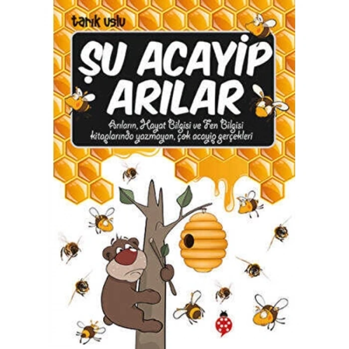 3E Grup - Şu Acayip Arılar - Uğurböceği Yayınları