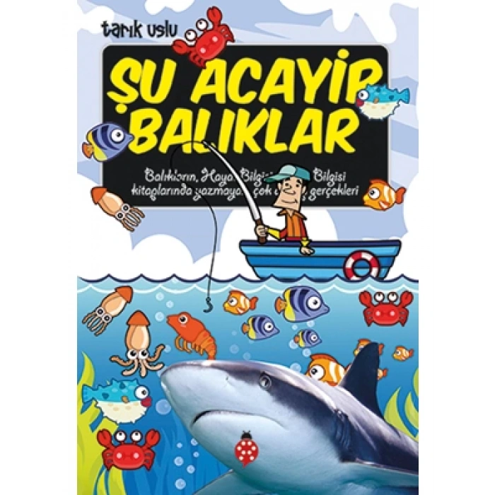 3E Grup - Şu Acayip Balıklar - Uğurböceği Yayınları