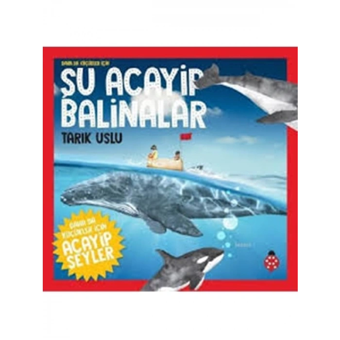 3E Grup - Şu Acayip Balinalar - Uğurböceği Yayınları