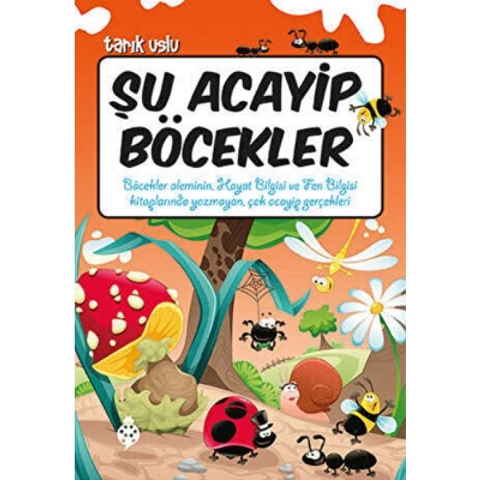 3E Grup - Şu Acayip Böcekler - Uğurböceği Yayınları