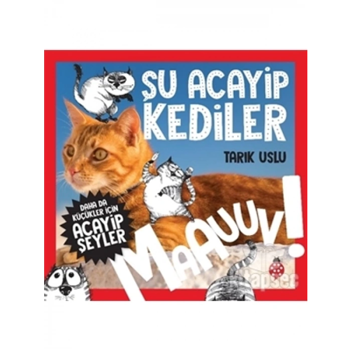 3E Grup - Şu Acayip Kediler - Uğurböceği Yayınları