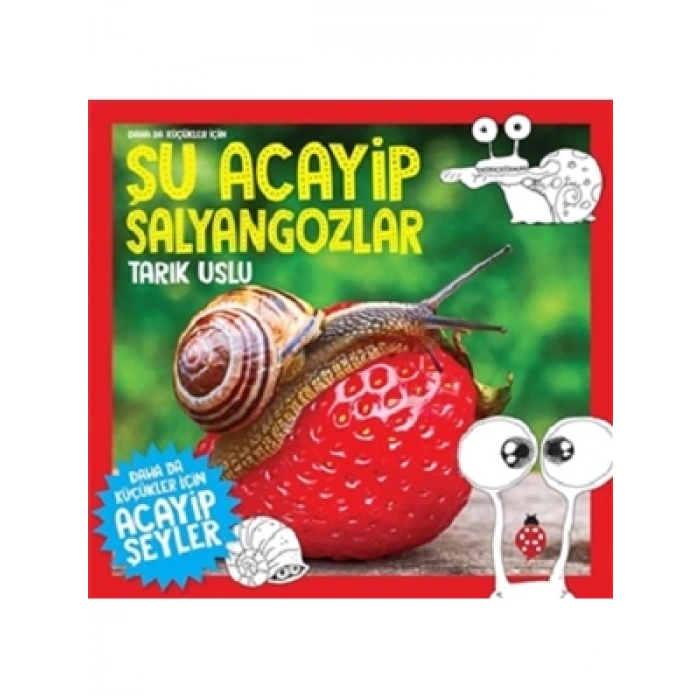3E Grup - Şu Acayip Salyangozlar - Uğurböceği Yayınları