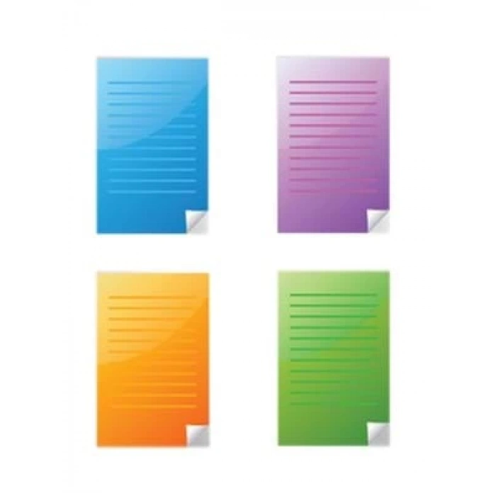 3E Grup - Taros Vıntage Label A4 İçi Renkli Defter 1881