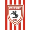 3E Grup - Kale 100x150 Raşel Samsunspor Flaması
