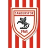 3E Grup - Kale 150x225 Raşel Samsunspor Flaması