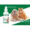 3E Grup - Pro Perfeck Kedi Ve Köpek Kiraz Çiçeği Parfüm 100 ml