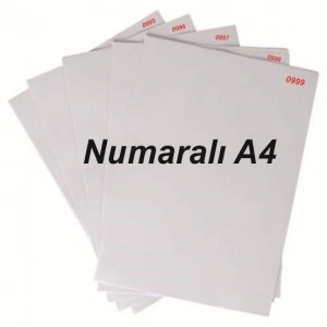 3E Grup - A4 80 Gr 25 Li Numaralı Yevmiye Kebir