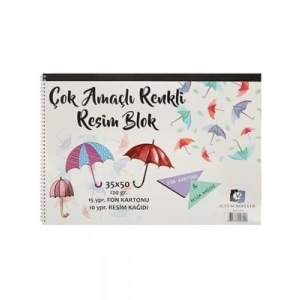 3E Grup - Alex Schoeller 35x50 120 Gr Spiralli Resim Defteri(10yp Resim Kağıdı+15yp Fon Kartonu)0299