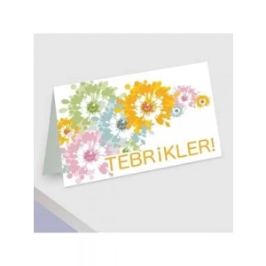 3E Grup - Big Mini Tebrik Kartı Pwhk 17