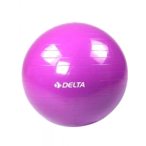 3E Grup - Delta 65 Cm Pilates Topu Mor Pum942