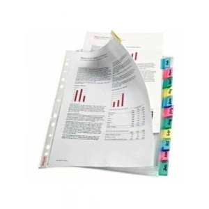 3E Grup - Esselte Ayraçlı Poşet Dosya 12 Renk Slt-414170