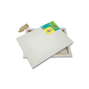 3E Grup - Fanart 30x40 Cm Genç Seri Çerçeveli Tuval Cg-3040