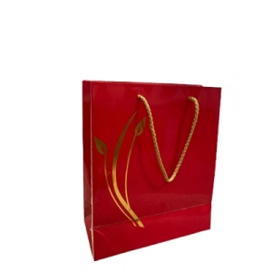 3E Grup - Gıpta Safir 230x110x275 Hediyelik Çanta Kırmızı