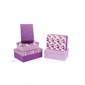 3E Grup - Gıpta Viola Dikdörtgen Hediye Kutusu No:5 Bx07070