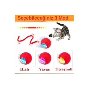 3E Grup - Hareketli Şarjlı Işıklı 360 Derece Dönen Akıllı Oyun Topu Kuyruklu İnteraktif Kedi Köpek Oyun Topu