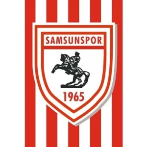 3E Grup - Kale 150x225 Raşel Samsunspor Flaması