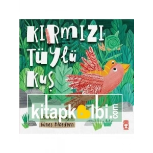 3E Grup - Kırmızı Tüylü Kuş - Timaş Yayınları