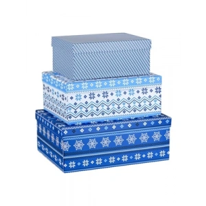 3E Grup - Mikro Blue Winter Dikdörtgen Hediye Kutusu No:1 Mbx-4218