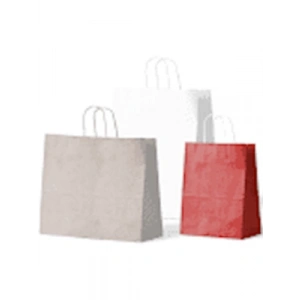 3E Grup - Nedi 12x15x7 Hediyelik Karton Çanta 426