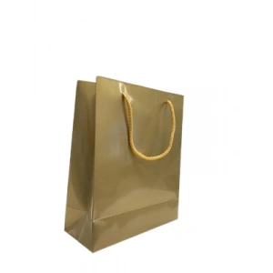 3E Grup - Nedi 21x26x9 Cm İp Saplı Selofanlı Karton Çanta Altın 11947