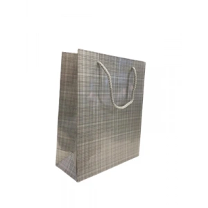 3E Grup - Nedi 21x26x9 Cm İp Saplı Selofanlı Karton Çanta Gümüş 11948