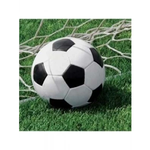 3E Grup - Nedi Peçete 16 Lı Futbol Topu 667966