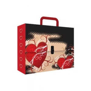 3E Grup - Noki Kutu Klasör Saplı(kulplu) Desenli 3200dk