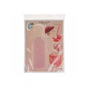 3E Grup - Odak Sindirim Sistemi Maketi 777-253