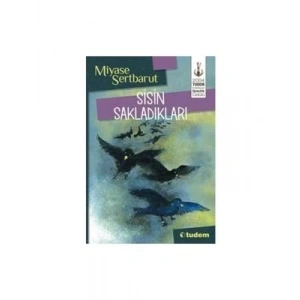 3E Grup - Sisin Sakladıkları 1 - Tudem Yayınları