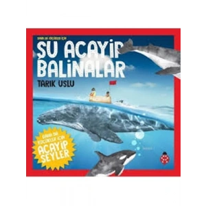 3E Grup - Şu Acayip Balinalar - Uğurböceği Yayınları
