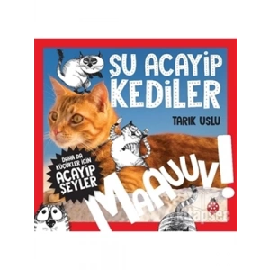 3E Grup - Şu Acayip Kediler - Uğurböceği Yayınları