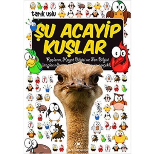 3E Grup - Şu Acayip Kuşlar - Uğurböceği Yayınları
