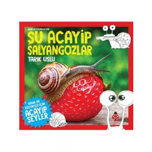 3E Grup - Şu Acayip Salyangozlar - Uğurböceği Yayınları