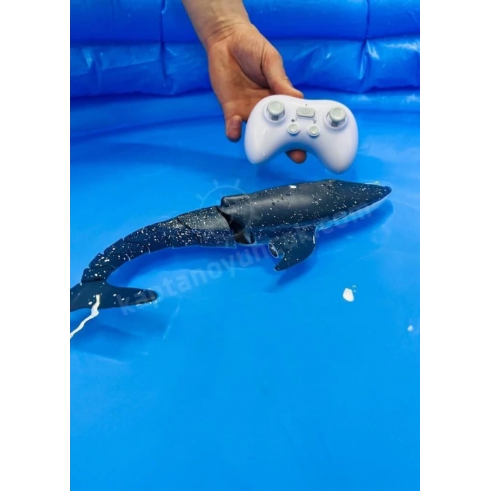 18002-32 - U/K SU FIŞKIRTAN YÜZEN BALİNA